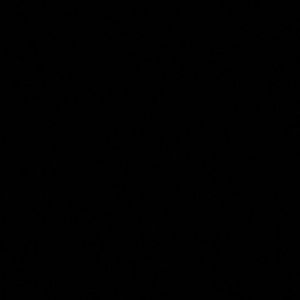 Meet your Posher, Israel